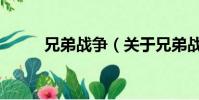 兄弟战争(关于兄弟战争的简介)