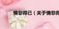 情非得已(关于情非得已的简介)