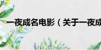 一夜成名电影(关于一夜成名电影的简介)