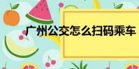 广州公交怎么扫码乘车(广州公车)