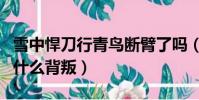 雪中悍刀行青鸟断臂了吗(雪中悍刀行青鸟为什么背叛)