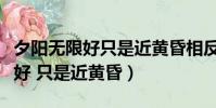 夕阳无限好只是近黄昏相反的诗句(夕阳无限好 只是近黄昏)