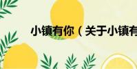 小镇有你(关于小镇有你的简介)