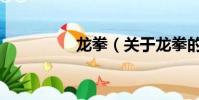 龙拳(关于龙拳的简介)