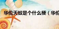 华伦天奴是个什么梗(华伦天奴是什么梗)
