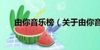 由你音乐榜(关于由你音乐榜的简介)