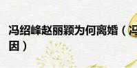 冯绍峰赵丽颖为何离婚(冯绍峰赵丽颖离婚原因)