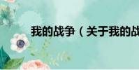 我的战争(关于我的战争的简介)