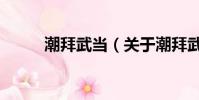 潮拜武当(关于潮拜武当的简介)