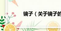 镜子(关于镜子的简介)