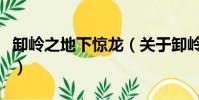 卸岭之地下惊龙(关于卸岭之地下惊龙的简介)