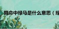 算命中绿马是什么意思(绿马是什么意思)