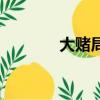大赌局（关于大赌局的简介）