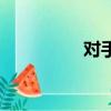 对手（关于对手的简介）
