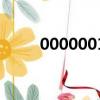 0000001（关于0000001的简介）
