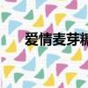 爱情麦芽糖（关于爱情麦芽糖的简介）