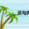灵与肉（关于灵与肉的简介）