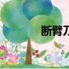 断臂刀（关于断臂刀的简介）