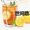 世间路2（关于世间路2的简介）