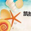 凯拉（关于凯拉的简介）