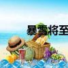 暴雪将至 （关于暴雪将至 的简介）