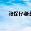 张保仔粤语（关于张保仔粤语的简介）
