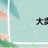 大卖（关于大卖的简介）