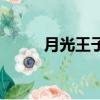 月光王子（关于月光王子的简介）