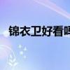 锦衣卫好看吗（关于锦衣卫好看吗的简介）