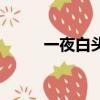 一夜白头（关于一夜白头的简介）