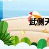 武侧天（关于武侧天的简介）