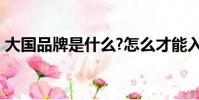 大国品牌是什么?怎么才能入选?(大国品牌)