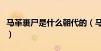 马革裹尸是什么朝代的(马革裹尸是哪个朝代)