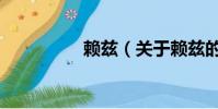 赖兹(关于赖兹的简介)