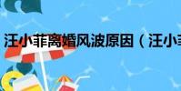 汪小菲离婚风波原因(汪小菲首谈离婚风波)