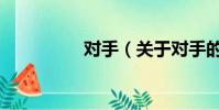对手(关于对手的简介)