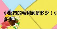 小超市的毛利润是多少(小超市的利润大概是多少)