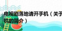 电视剧落地请开手机(关于电视剧落地请开手机的简介)