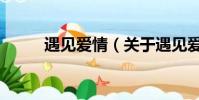 遇见爱情(关于遇见爱情的简介)