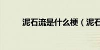 泥石流是什么梗(泥石流是什么)