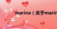 marina(关于marina的简介)