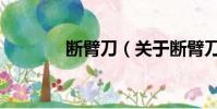 断臂刀(关于断臂刀的简介)
