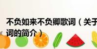 不负如来不负卿歌词(关于不负如来不负卿歌词的简介)