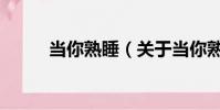 当你熟睡(关于当你熟睡的简介)