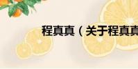 程真真(关于程真真的简介)