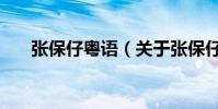 张保仔粤语(关于张保仔粤语的简介)