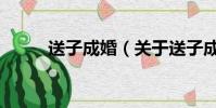 送子成婚(关于送子成婚的简介)