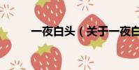 一夜白头(关于一夜白头的简介)