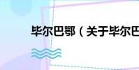 毕尔巴鄂(关于毕尔巴鄂的简介)