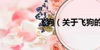 飞狗(关于飞狗的简介)